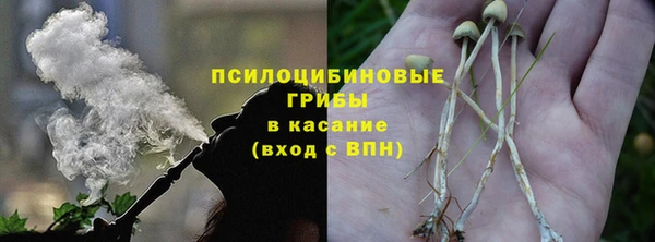 меф Арсеньев