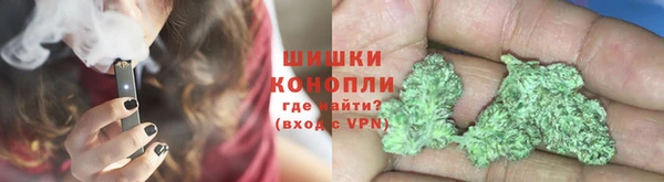 трава Аркадак