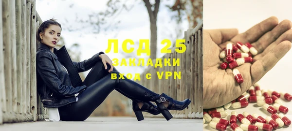 трава Аркадак