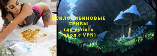 ПСИЛОЦИБИНОВЫЕ ГРИБЫ Богородск