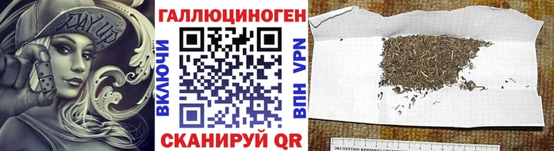 кракен зеркало  Петухово  Галлюциногенные грибы Psilocybine cubensis 